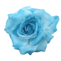 Collection Eighteen Hair Items (Assorted) Under $30