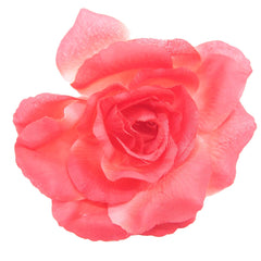 Collection Eighteen Hair Items (Assorted) Under $30