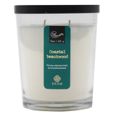 15oz Brad jar Coastal Beachwood -2 Wick, Clear Glass, Metallic Bop Label