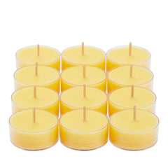 MANGO LIME SORBET UNIVERSAL TL CANDLES