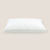 HOMESTAY PILLOW PROTECTOR - KG