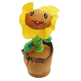 Dancing Sunflower