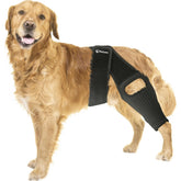 Pawease Dog Knee Brace Large