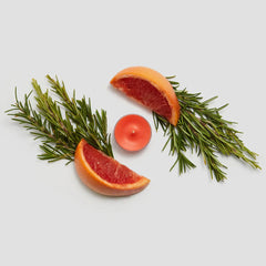 GRAPEFRUIT & ROSEMARY UNIVERSAL TL CANDLES