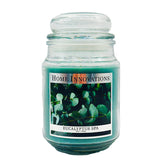 Home Innovations Eucalyptus Spa 18 oz Candle