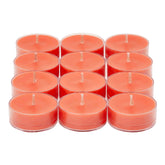 GRAPEFRUIT & ROSEMARY UNIVERSAL TL CANDLES