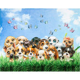 Dog Throw Blanket - 50 x 60