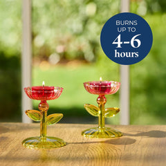 GARDEN BEAUTY 12-PIECE TEALIGHT SAMPLER