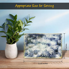 30x20cm/11.81x7.87in - Rectangular Serving Plate - REACTIVE Reactive Blue Cote Stoneware Dishwasher & Microwave safe 6pc/set