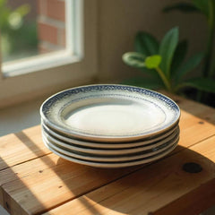 ⌀26cm/10.24in - Dinner Plate - PORCELAIN - THE SPACE Blue Cote Porcelain Dishwasher & Microwave safe 6pc/set