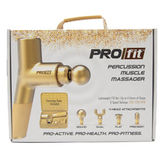 Massage Gun Gold with Carry Case