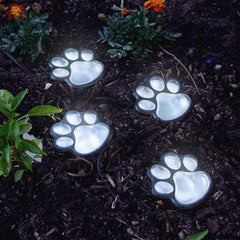 Paw Print Lights 