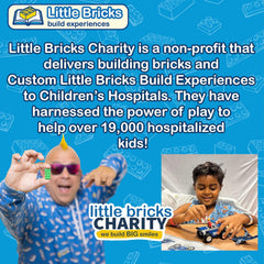 Little Bricks Magical Bag of Bricks