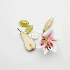 LILY & LINEN UNIVERSAL TL CANDLES