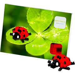Brixies Postcard Ladybird - Postcard Polybag