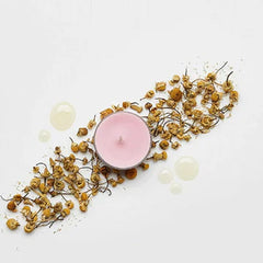 MOONFLOWER UNIVERSAL TL CANDLES