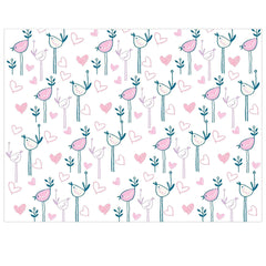 2 PK Newborn Receiving Blankets | Baby Receiving/Swaddle Blankets - Kitty/Birds