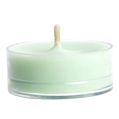 GL BY PL CITRONELLA MINT LARGE TLs