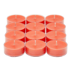 GRAPEFRUIT & ROSEMARY UNIVERSAL TL CANDLES
