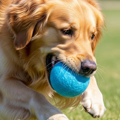 PupBox Wool Ball 3 Blue