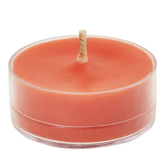 GRAPEFRUIT & ROSEMARY UNIVERSAL TL CANDLES