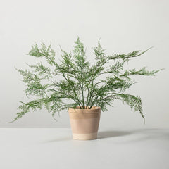 Hearth and Hand Asparagus Potted Faux Fern Plant