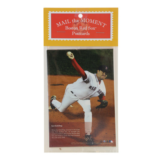 Mail The Moment 10 Pk Boston Red Sox Postcard Set